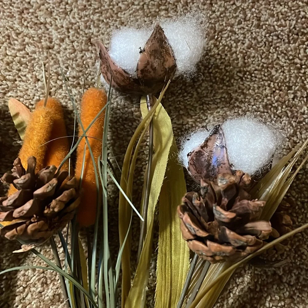 3 Fall Cotton Picks